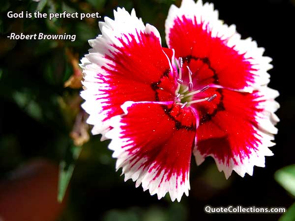 Robert Browning Quotes1